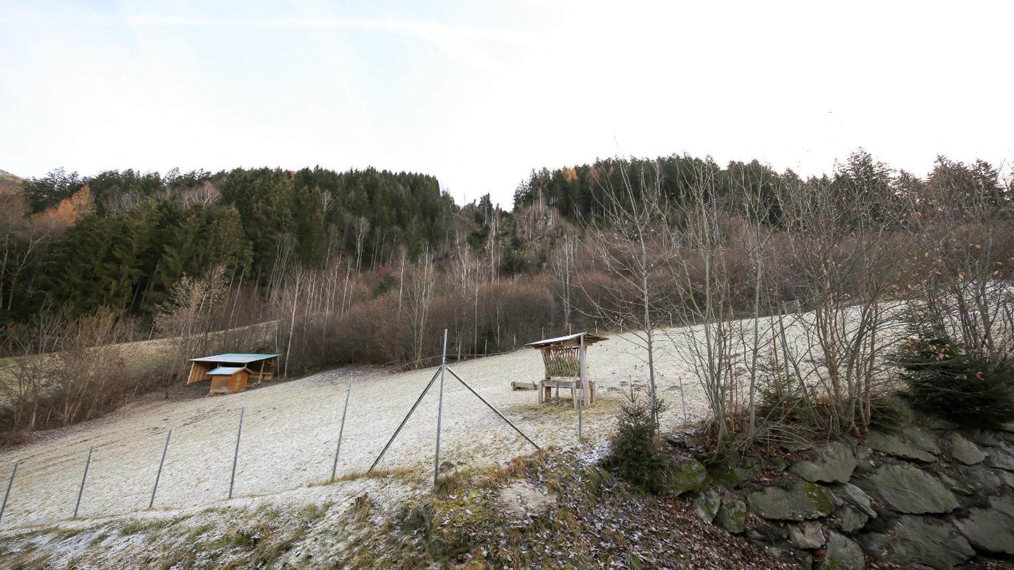 Hochfeldhof Apartment Zell am Ziller Ruang foto